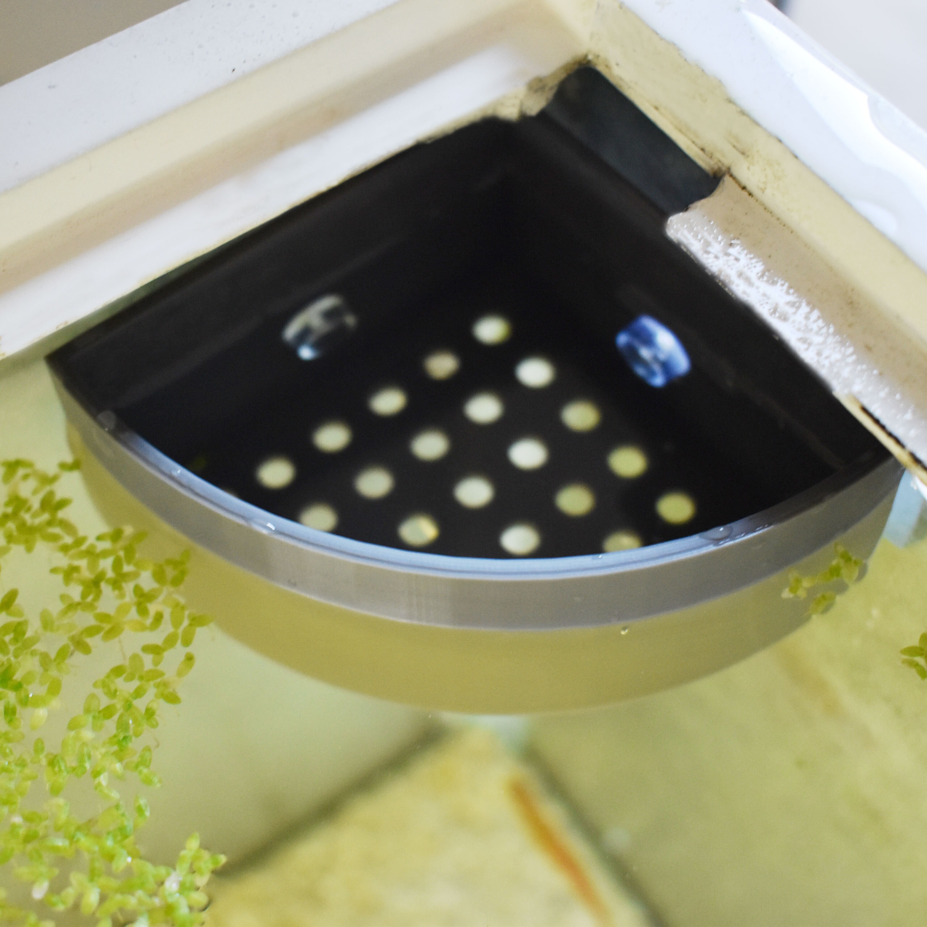 Tank Bottom Diffuser Universal Aquarium Corner Water Diffuser. Water Change Diffuser for ...
