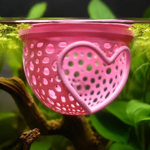 May include: A pink, perforated aquarium plant holder with a heart-shaped design. The holder is suspended in water, surrounded by green aquatic plants and a dark brown branch.