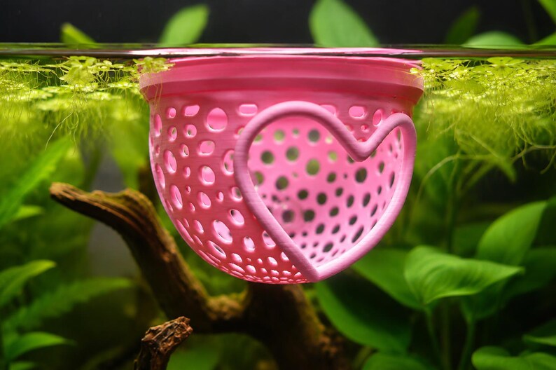 May include: A pink, perforated aquarium plant holder with a heart-shaped design. The holder is suspended in water, surrounded by green aquatic plants and a dark brown branch.