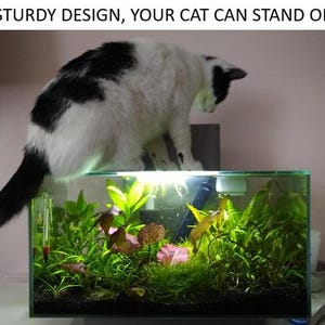 May include: A domestic cat, black and white, perched on a glass aquarium. The aquarium contains green aquatic plants and a light. The text above reads "STURDY DESIGN, YOUR CAT CAN STAND ON".