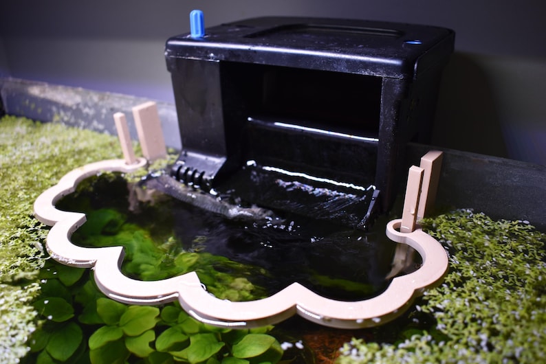 Puede incluir: Un filtro de acuario de pl&aacute;stico negro colgado sobre la superficie del agua, con una barrera flotante de color claro en forma de nube con pesta&ntilde;as verticales que rodea la salida de agua para contener las plantas flotantes.