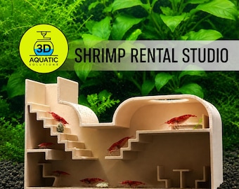 Aquarium Shrimp Rental Studio. Large Shrimp Studio For Rent. All-Inclusive Facility. Luxury & Cozy Shrimp Studio. Fast Shipping From Canada.