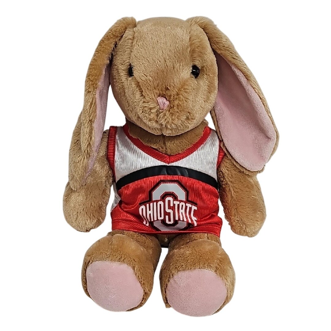 Build a Bear Workshop Plush Bunny With BAB Ohio State Red Jersey School ...