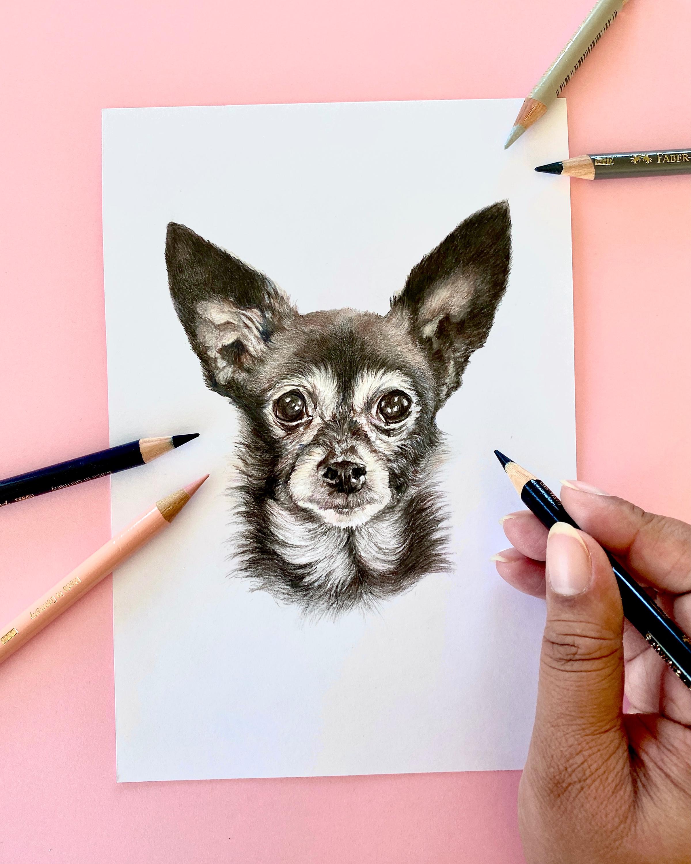 Custom Hand Drawn Pet Portrait - Personalised Pet Art Portrait From ...