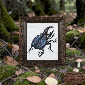 May include: A framed cross-stitch of a beetle in shades of blue and purple on a white background. The frame is dark brown with ornate detailing. The image is set against a blurred forest background. The text "FAES WITCHES STITCHES" is visible.