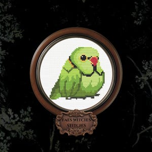 Op de afbeelding: Een ronde houten lijst met een kruissteekborduurwerk van een mollige groene papegaai met een rode snavel en een zwart oog. Onder de lijst bevindt zich een decoratief bruin plaatje met de tekst Faes Witches Stitches in een donker lettertype.
