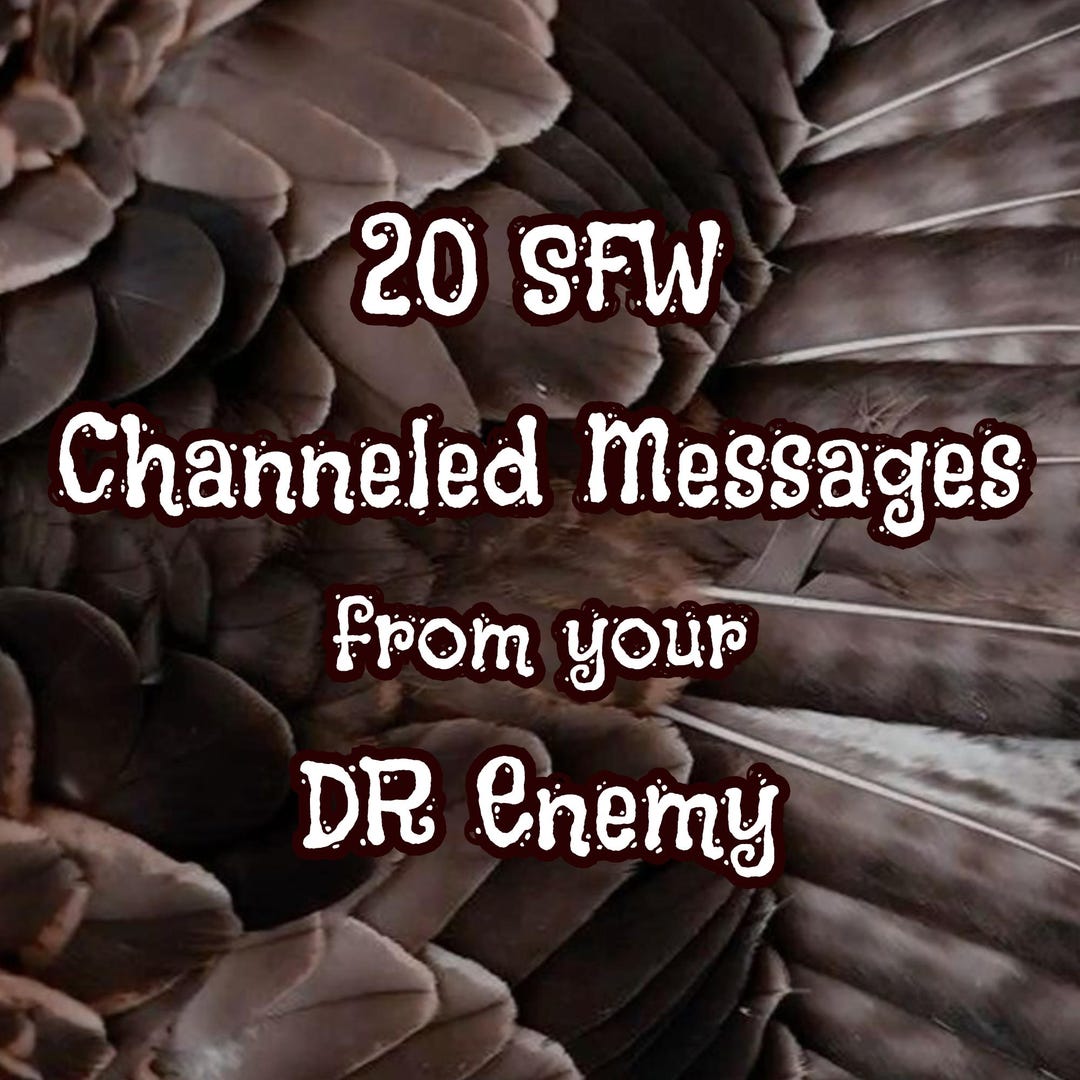 20 Channeled Messages From DR Enemy Channeled Messages Reality Shifting ...