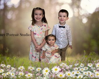 Spring Field wild flowers trees digital background sunny field digital backdrop for photography digital composite photographer jpg photoshop