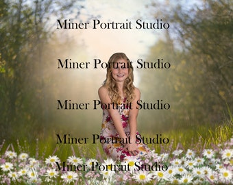 Spring Field digital composite Grass Background Trees digital backdrop JPG Photoshop Photography  Photography digital backdrops
