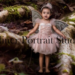 Może przedstawiać: Małe dziecko w różowym kostiumie wróżki z pasującymi skrzydłami i opaską na głowę, w leśnym otoczeniu. Obraz zawiera tekst "Miner Portrait Studio".