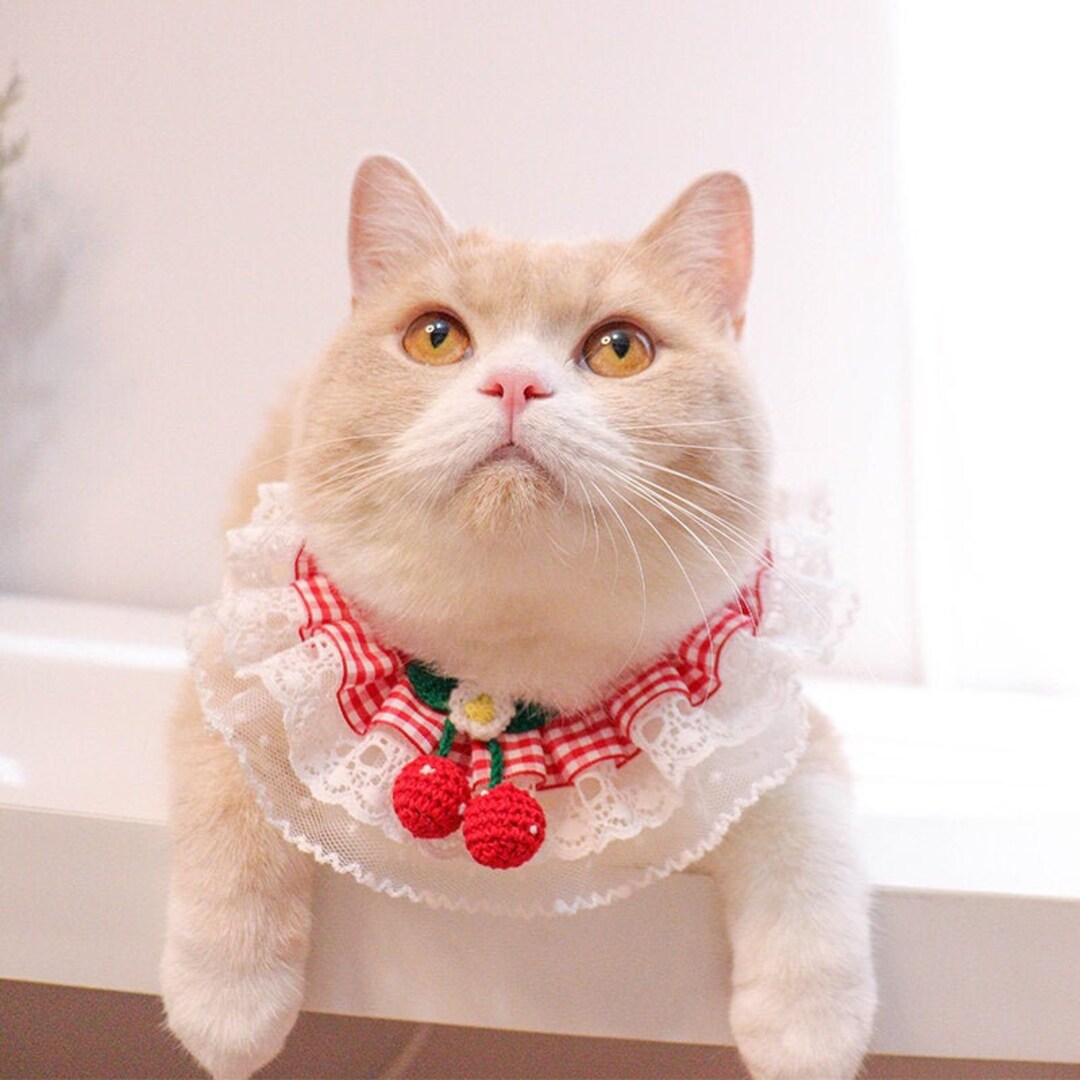 Handmade Collar for Cat and Dog, Collar With Cherry, Cat Neckwear, Cat