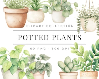 Watercolor Potted Plants Clipart Bundle, 60 Houseplants and Botanical Illustrations, Png Digital Download