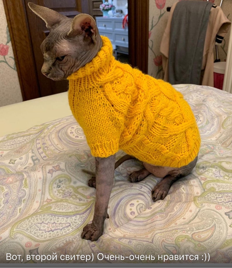 Cat clothes sphynx clothes clothes for sphynx sphynx Etsy