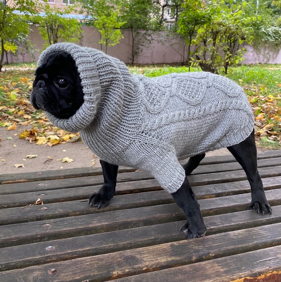 pugs in sweaters