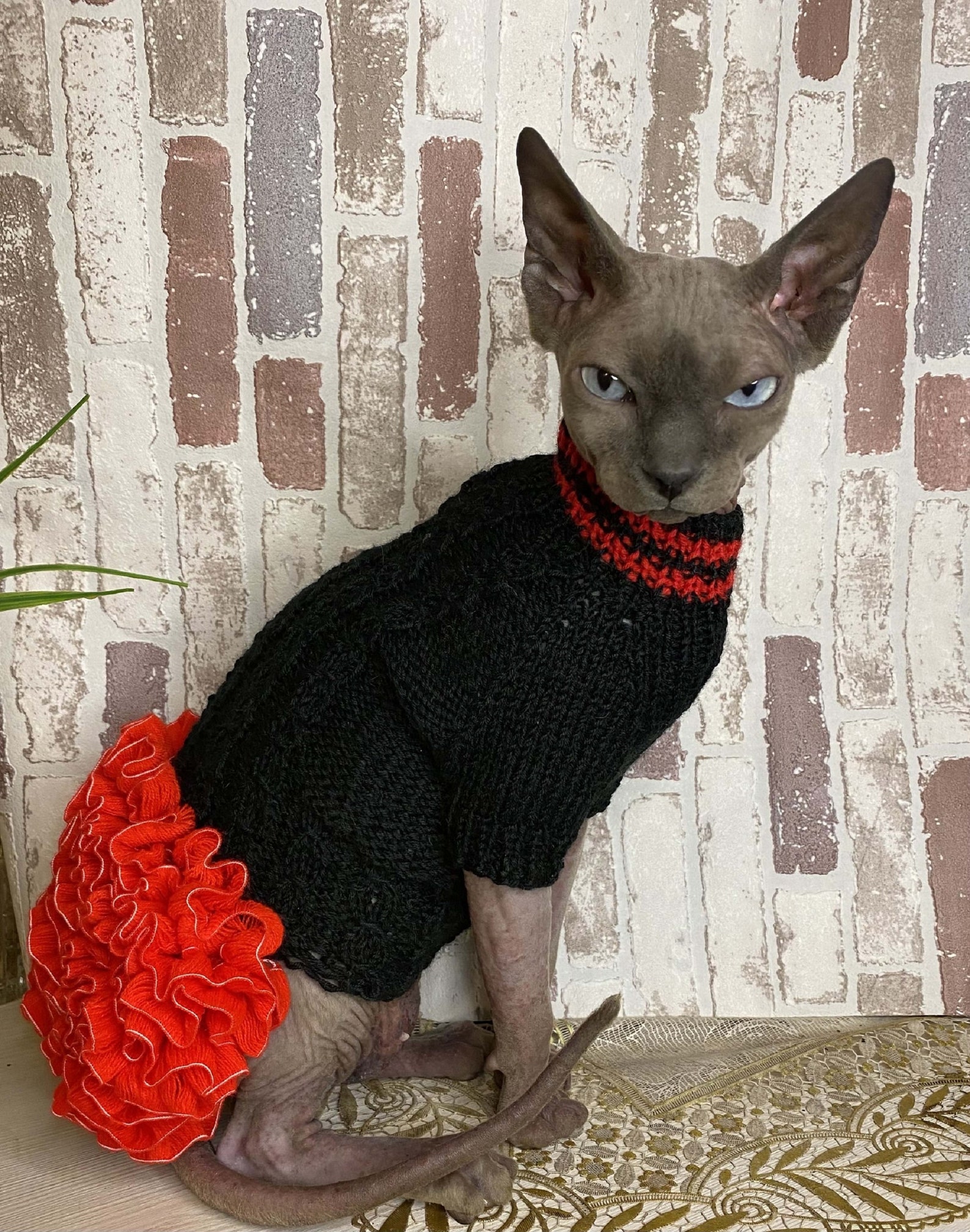 Cat Dress Sphinx Dress Cat Clothes Sphinx Clothes Ruffle Etsy