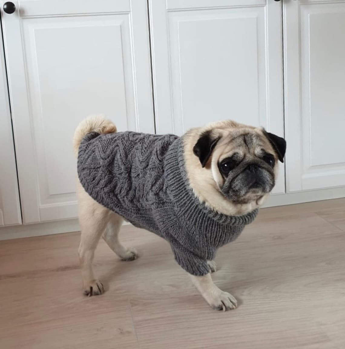 Pug jumperPug clothing100 wool clothingwarm sweater for a Etsy
