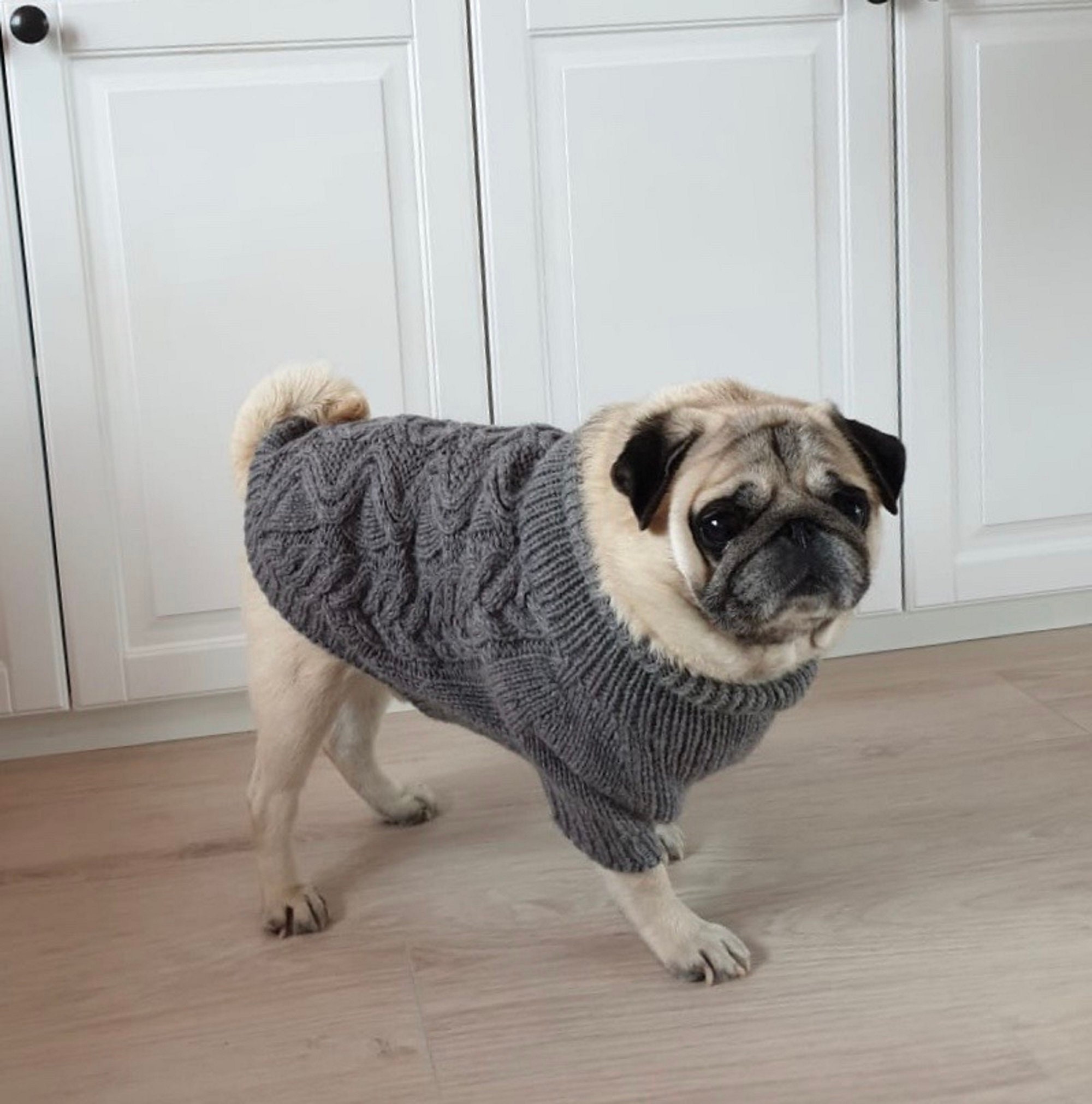 Hund Kleidung Hund clohting Mops JumperPug Kleidung100 Wolle Etsy