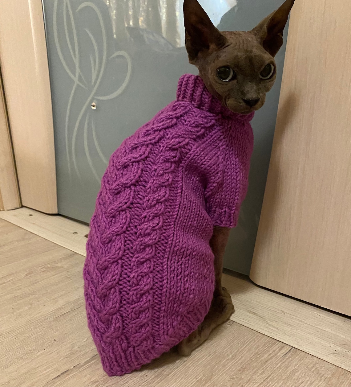 Pattern knitting sweater for cat PDF pet dog Cat sweatet Etsy