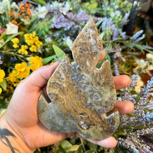 Moss Agate Leaf | Crystal Leaf | Carved Crystal | Witchy Gifts | Witch Gifts | Crystals | Moss Agate Crystals | Leaf Crystal | Crystal Leaf