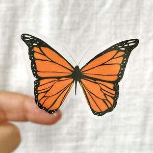 Clear Butterfly Sticker | Vinyl Sticker | Weatherproof/Decal | Waterproof | Butterfly Sticker | Water Bottle Sticker | Boho Sticker