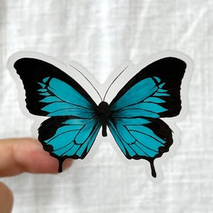 Clear Butterfly Sticker | Vinyl Sticker | Weatherproof/Decal | Waterproof | Butterfly Sticker | Water Bottle Sticker | Boho Sticker