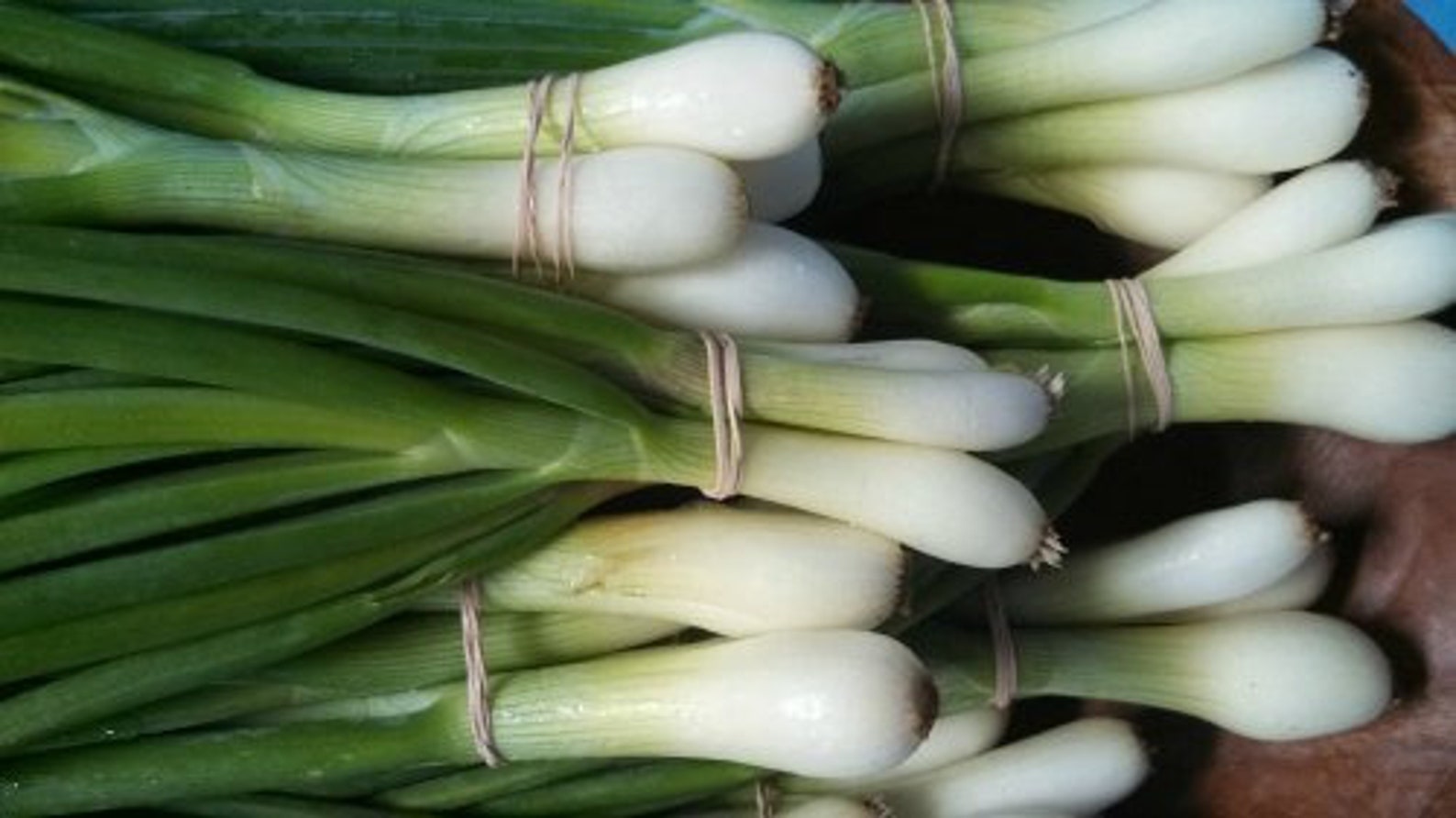 Organic King Bunching ONION seed Super Bunching Onion Seeds Etsy