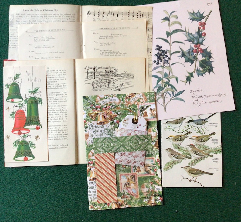 book pages, including Edith Holden