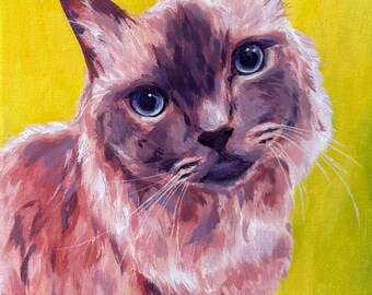 Retrato de mascota acrílico abstracto colorido personalizado pintado a mano sobre lienzo estirado de 8x10