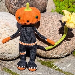 Crochet pattern:  Mr Pumpkin the monster toy PDF Language - English