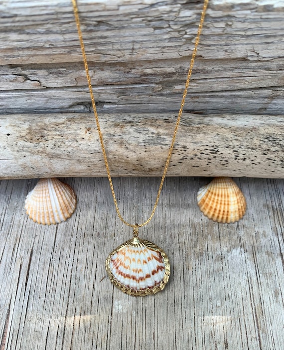 Greek Island Seashell Necklace: Scallop or Babylonia Shell