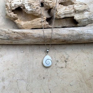 May include: A silver chain necklace with a white shell pendant featuring a spiral pattern.
