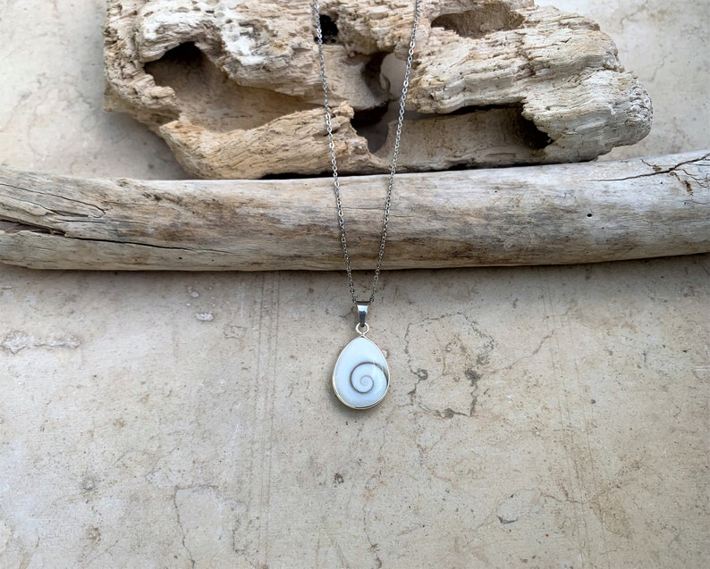 May include: A silver chain necklace with a white shell pendant featuring a spiral pattern.