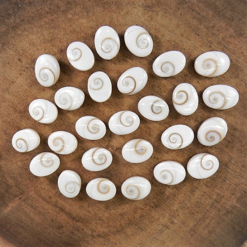May include: A collection of 25 oval-shaped white seashells with brown spiral patterns. The shells are arranged in a circular pattern on a wooden surface.
