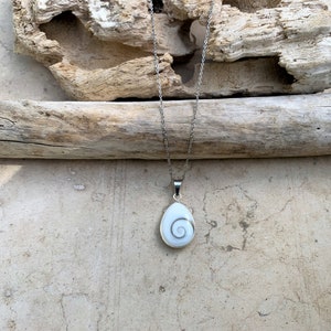 May include: A silver chain necklace with a white shell pendant featuring a spiral pattern.
