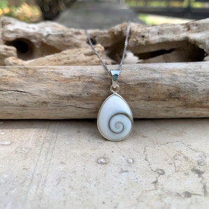 May include: A silver chain necklace with a teardrop-shaped pendant featuring a white and gray shell with a spiral pattern.