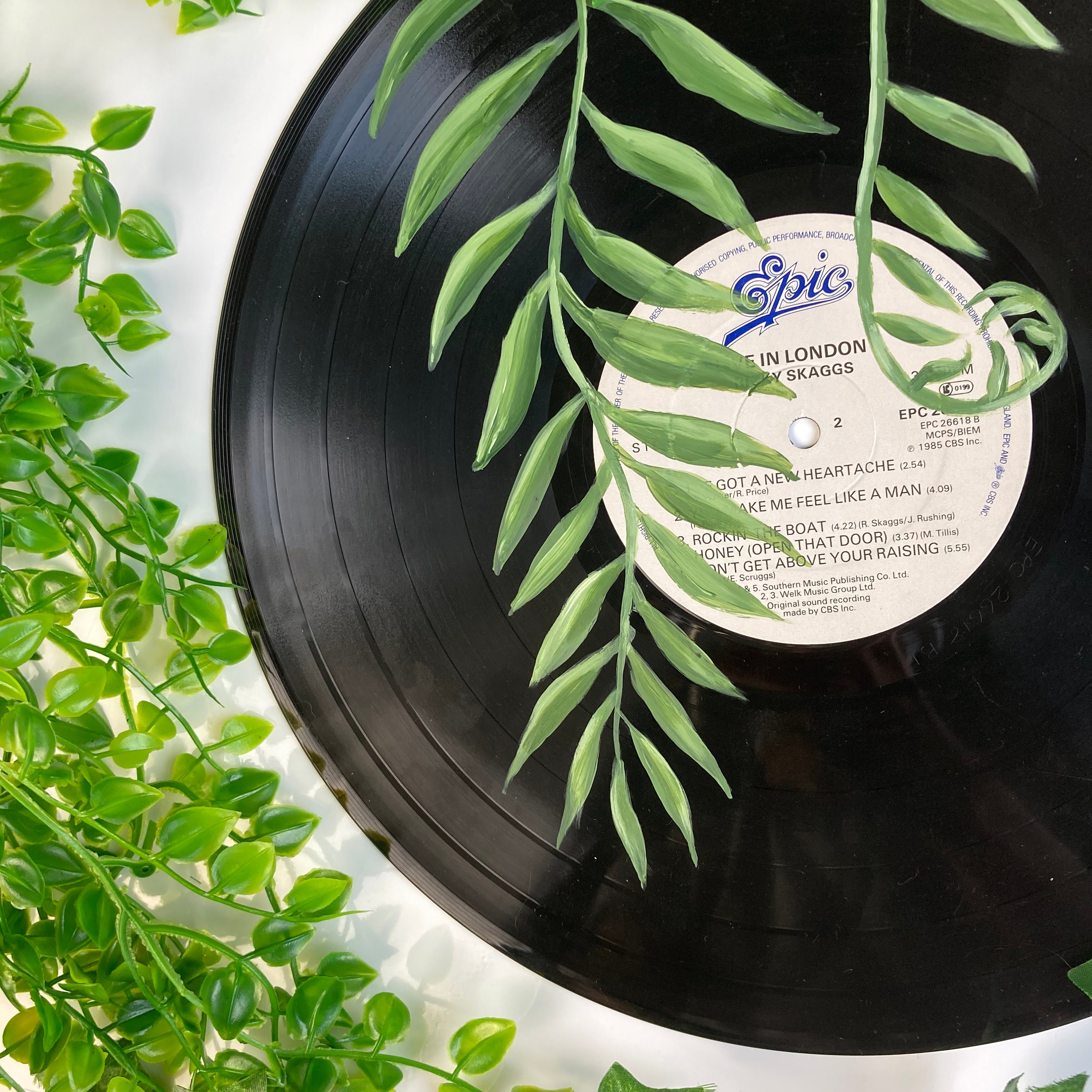 Hand-Painted Vinyl Record Hanging Plant Design Handmade | Etsy
