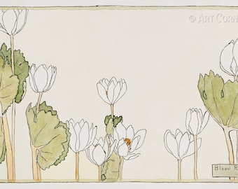 Blood Root (1915) door Hannah Borger Overbeck, beroemde schilder, kunst aan de muur decor, vintage aquarel schilderij, digitale download printable