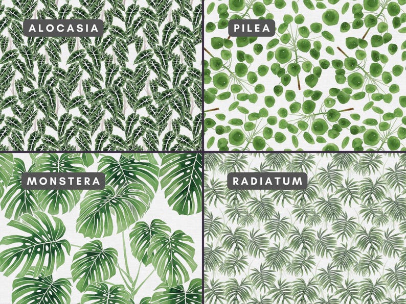 Bolsas de regalo botánicas modernas / Bolsas reutilizables con cordón, ecológicas, para amantes de las plantas, con estampados elegantes. imagen 2