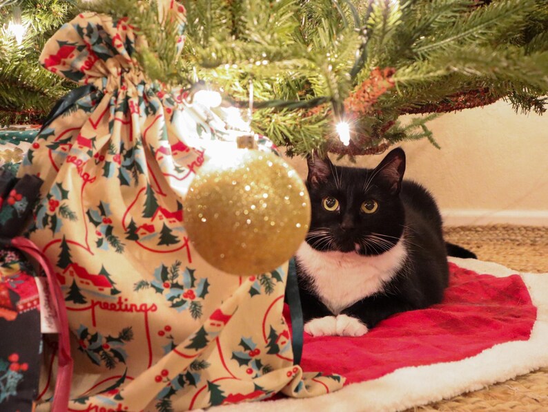 May include: A black and white cat sits on a red tree skirt under a Christmas tree next to a cream-colored fabric gift bag featuring a pattern of green pine trees, red holly berries, and the cursive text Greetings.