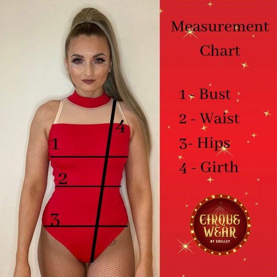 CUSTOMISABLE Cabaret Corset Leotard Matching Choker Illusion