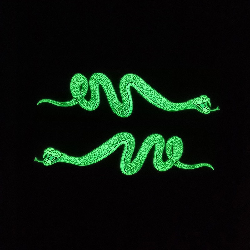 Iron on Glow in Dark Gray Snake Stickers for Custom Air Force Etsy