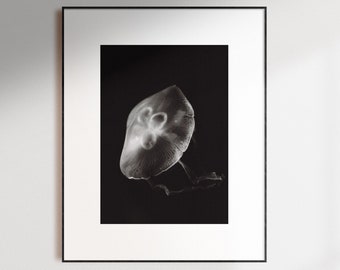 Jellyfish Japan Photography Print, Fine Art Print, Black & White Film Photography Print, Sea Life Japanese Wall Art Photography Print