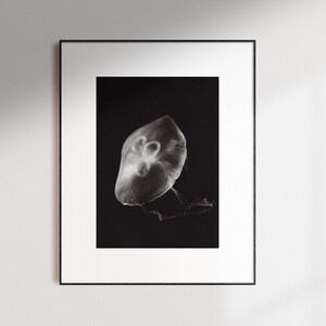 Jellyfish Japan Photography Print, Fine Art Print, Black & White Film Photography Print, Sea Life Japanese Wall Art Photography Print