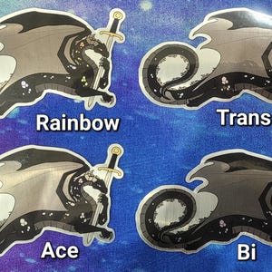 May include: Four stickers featuring a dragon design with a sword. Each dragon is black with gray wings and a white belly. The stickers are labeled "Rainbow", "Trans", "Ace", and "Bi" on a blue background.