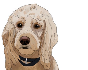 May include: Illustration of a light brown dog with a black collar. The dog has long, wavy fur and a brown nose. The dog's eyes are dark brown, and it appears to be looking directly at the viewer. The background is white.