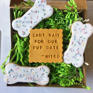 Custom Text Dog Treat + Confetti Bones! -Dog Treats, Grain Free