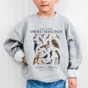 May include: A light gray sweatshirt featuring a colorful ornithology design. The graphic includes various bird illustrations with the text "Study of Birds ORNITHOLOGY Natural History Collection". The sweatshirt is labeled "SPORT GREY" and has the brand name "KUROKUMO APPAREL CO."