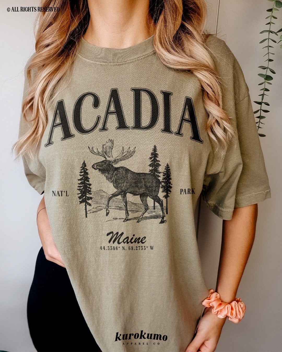 Acadia National Park Tshirt Moose Pine Tree Graphic Tee - Etsy