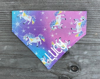 chocolate weenie dog