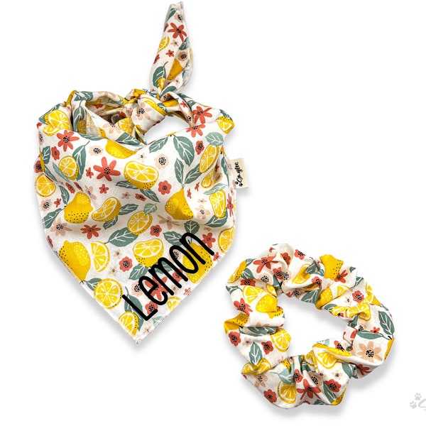 Personalized Dog Bandana with Optional Matching Scrunchie || Tie-On Dog Bandana || Lemon Dog Bandana || Fruit Dog Bandana || Summer Bandana